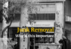 Junk Removal