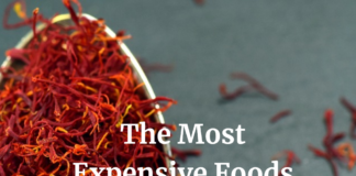 The Most Expensive Foods on Earth