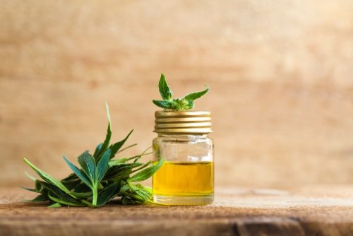 Does CBD Oil Really Help Treat Arthritis Pain