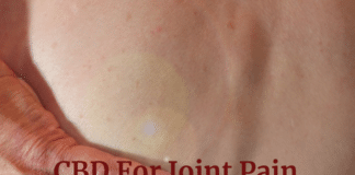 CBD and Joint Pain
