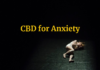 How Does CBD Affect your Body and Helps with Anxiety How Cannabidiol (CBD) Works for Treating Anxiety