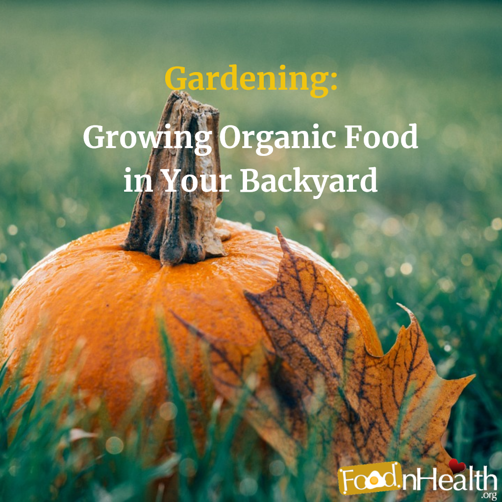 10 Reasons to Grow Your Own Organic Food