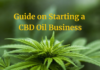 Starting a CBD Business: How to Enter the CBD Industry