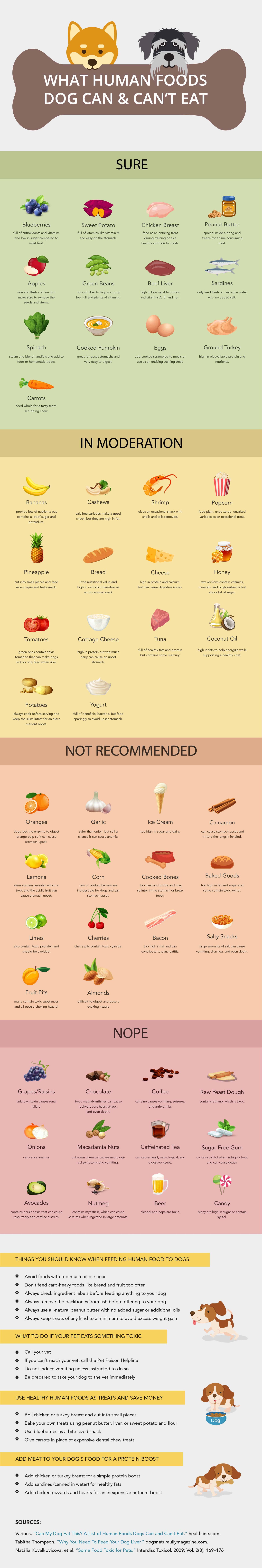 healthy fats for dogs