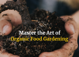 Master the Art of Organic Food Gardening Using These 9 Tips Want To Grow Organic Food? Here Are Some Tips
