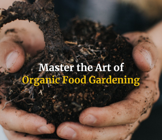 Master the Art of Organic Food Gardening Using These 9 Tips Want To Grow Organic Food? Here Are Some Tips