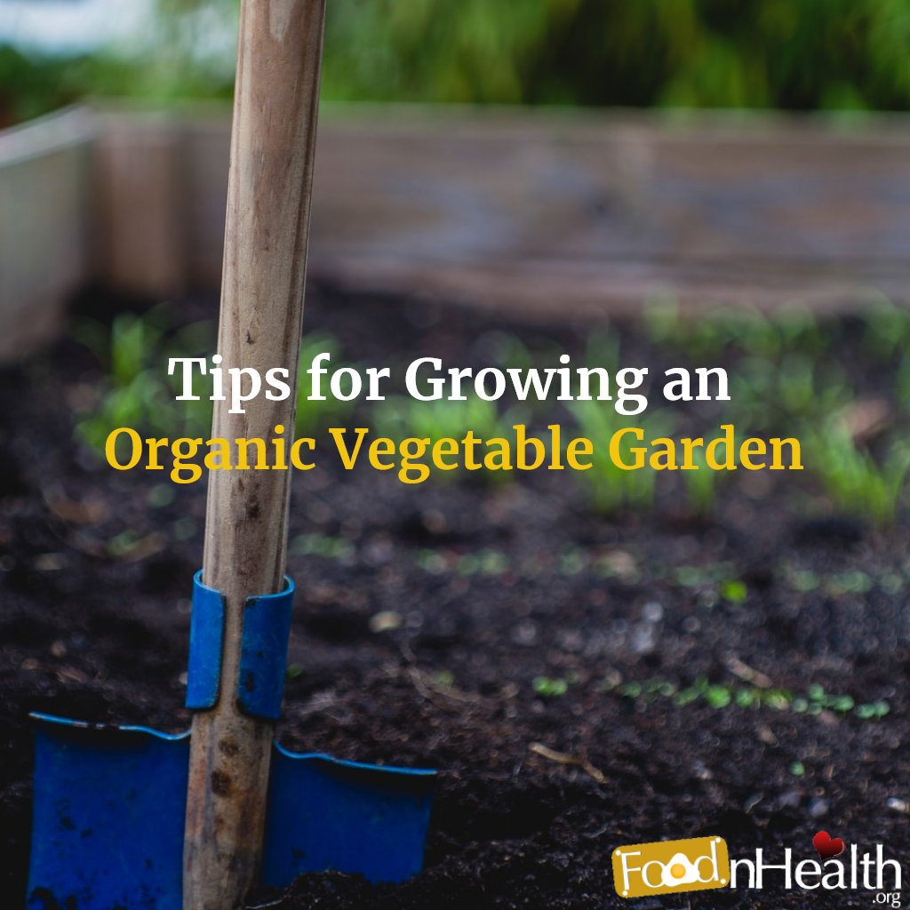 A beginner's guide to organic gardening