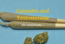 5 Facts You Must Know About Cannabis and Testosterone Marijuana smoking linked with higher sperm concentrations
