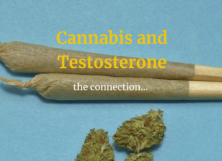 Marijuana smoking linked with higher sperm concentrations