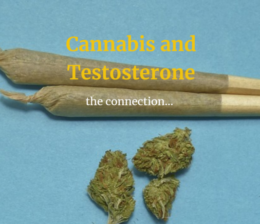 Marijuana smoking linked with higher sperm concentrations