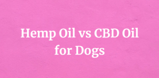 Hemp-Oil vs CBD-Oil for Dogs