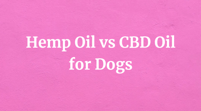 Hemp-Oil vs CBD-Oil for Dogs