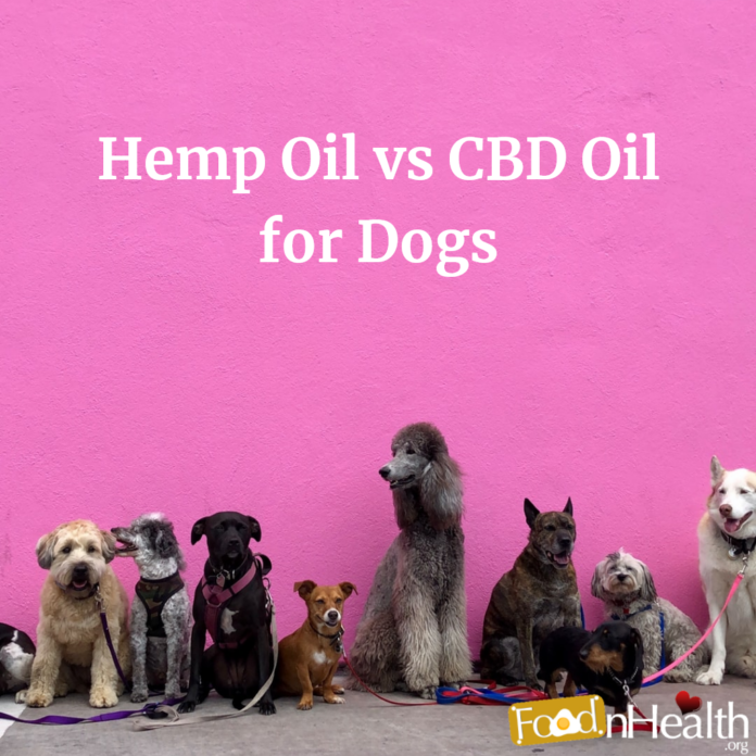 Hemp-Oil vs CBD-Oil for Dogs