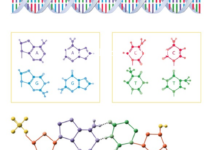 Genomics Can Help Detect Infectious Diseases