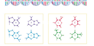 Genomics Can Help Detect Infectious Diseases