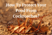 How To Protect Your Food From Cockroaches?