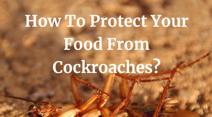 How To Protect Your Food From Cockroaches?