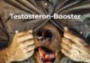 Testogen: Testosteron-Booster