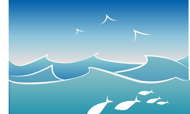 Saltwater Fish Benefits