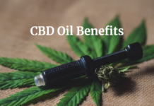 CBD Oil Benefits: Food and Edibles CBD Oil Benefits