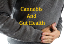 Gut health