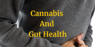 Gut health