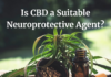 Is CBD a Suitable Neuroprotective Agent? Is CBD a Suitable Neuroprotective Agent?