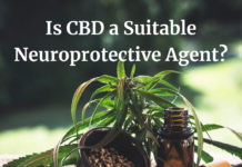 Is CBD a Suitable Neuroprotective Agent?