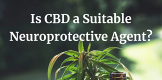Is CBD a Suitable Neuroprotective Agent?
