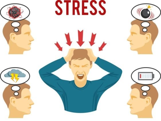 Stress Management in Ayurveda - Natural Herbs For You