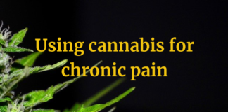 Using cannabis for chronic pain
