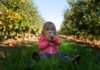 Establishing Healthy Eating Habits for Young Children