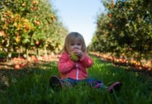 Establishing Healthy Eating Habits for Young Children