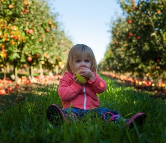 Establishing Healthy Eating Habits for Young Children