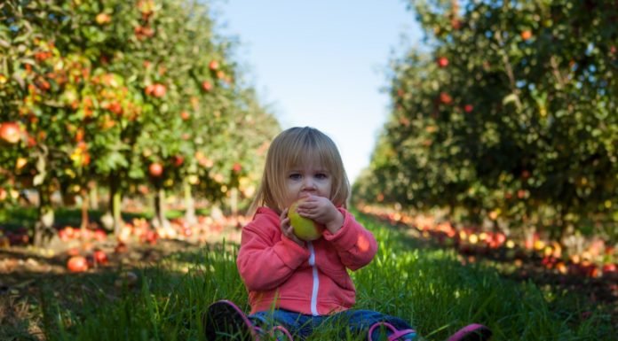 Establishing Healthy Eating Habits for Young Children