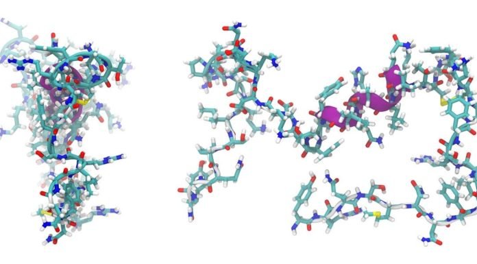 Peptide Synthesis