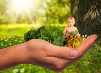 Tips to Avoid Baby Food Allergies and Eat Right During Pregnancy Tips to Avoid Baby Food Allergies