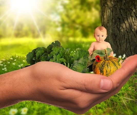 Tips to Avoid Baby Food Allergies