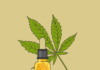 CBD Products