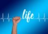 The Ultimate Guide To Healthy Living The Ultimate Guide To Healthy Living