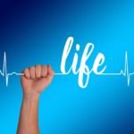 The Ultimate Guide To Healthy Living The Ultimate Guide To Healthy Living