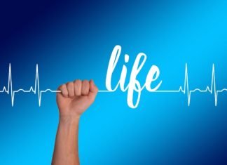 The Ultimate Guide To Healthy Living