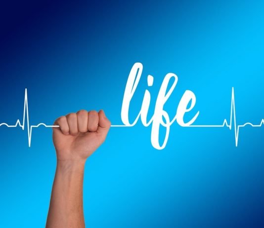 The Ultimate Guide To Healthy Living