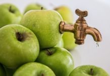 How To Have A Fantastic Juicer With Minimal Spending A Fantastic Juicer With Minimal Spending