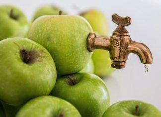 A Fantastic Juicer With Minimal Spending