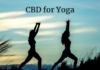 How to Use CBD for Yoga How to Use CBD for Yoga