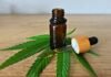 The Best CBD Products for Sale on Cyber Monday CBD Cyber Monday