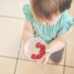 The Top 5 Foods to Feed Your Toddler Top 5 Foods to Feed Your Toddler