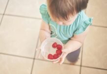 Top 5 Foods to Feed Your Toddler