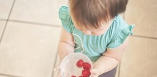 Top 5 Foods to Feed Your Toddler